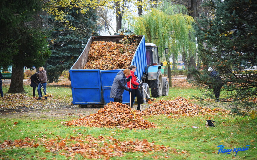 uborka-28-10-1_14.JPG