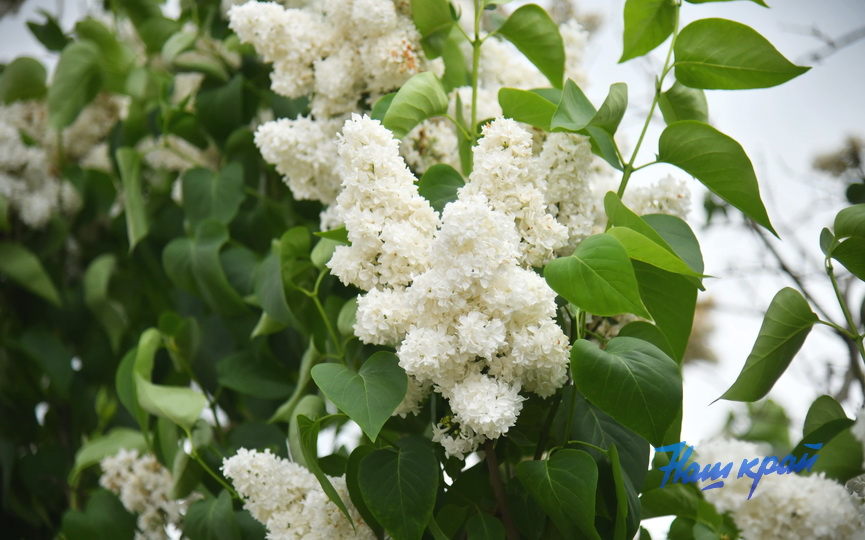 pogoda-mai- (3).JPG