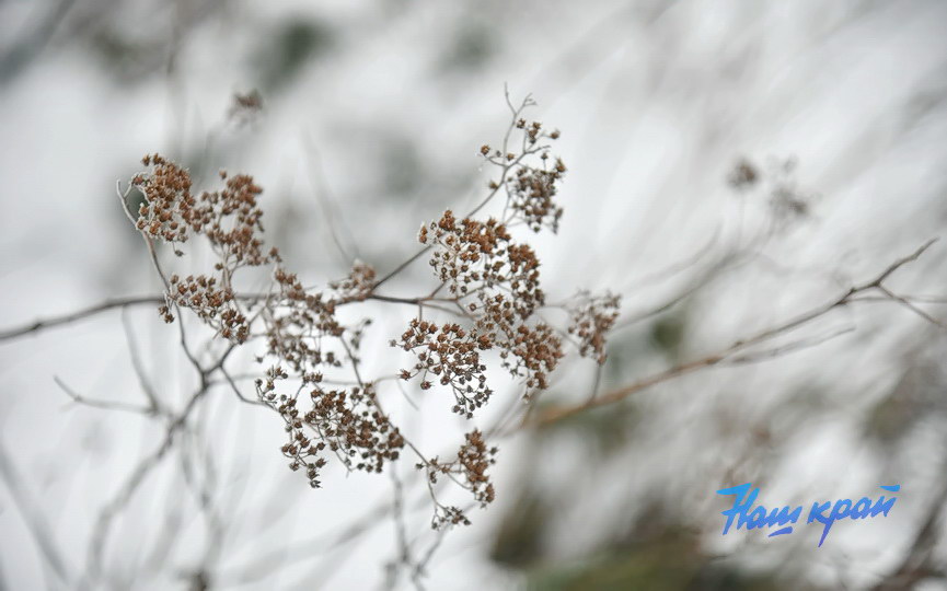 pogoda-yanvar-zima_5351 (19).JPG