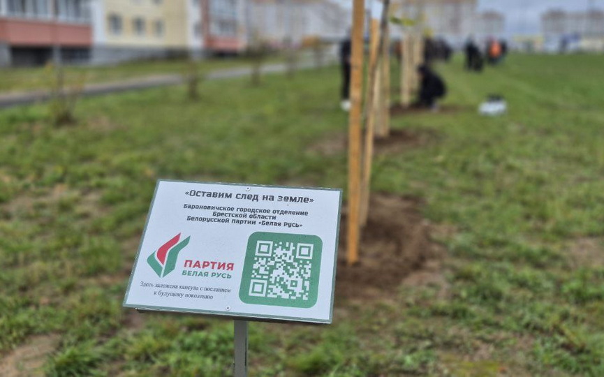 IMG_6040.jpeg IMG_6040.jpeg