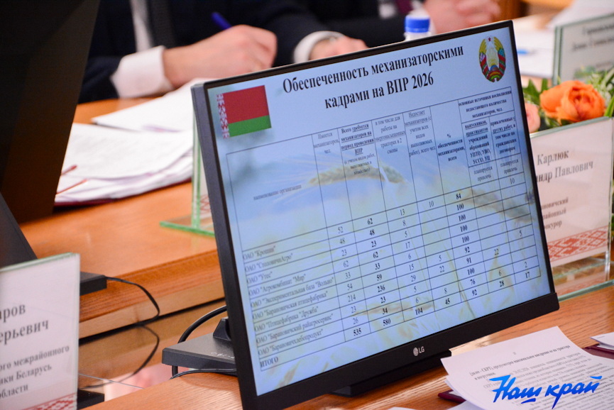 20260305_173124_216 (7).jpg