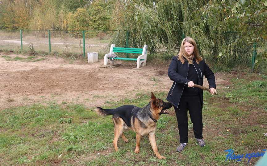 15-11-2019_3.jpg