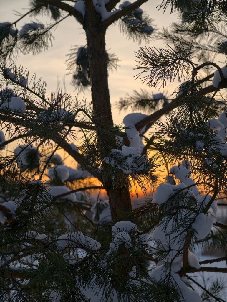 photo_2026-01-19_20-08-21.jpg photo_2026-01-19_20-08-21.jpg