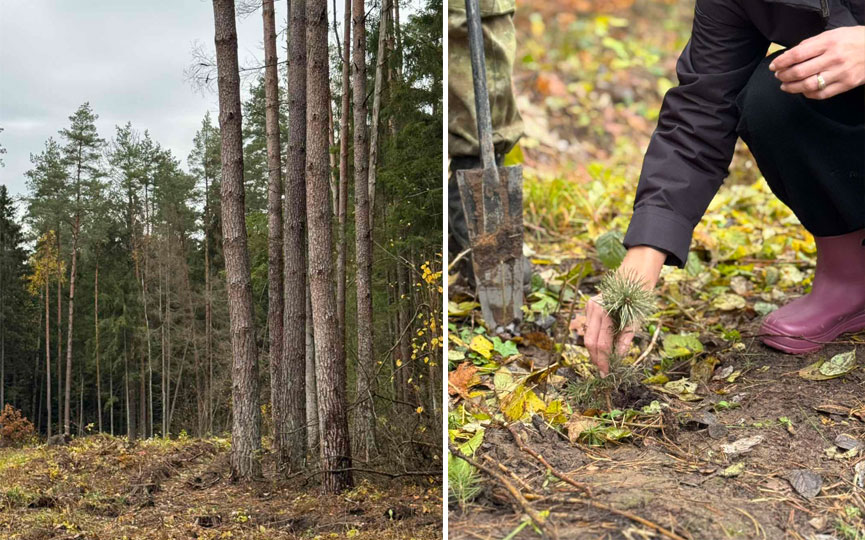 025-10-31_16-31-42-214.jpg 025-10-31_16-31-42-214.jpg