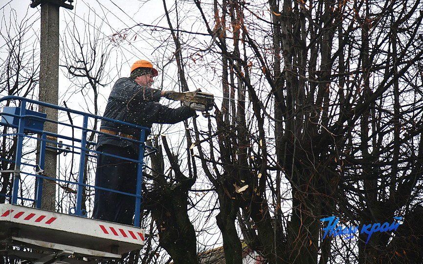 derevjya-obrezka (10).JPG