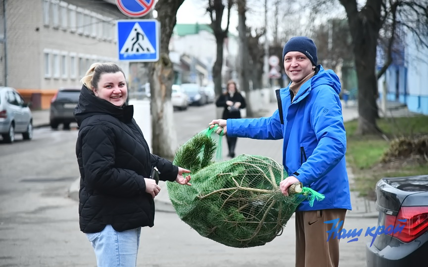 elka-elochnye (12).JPG