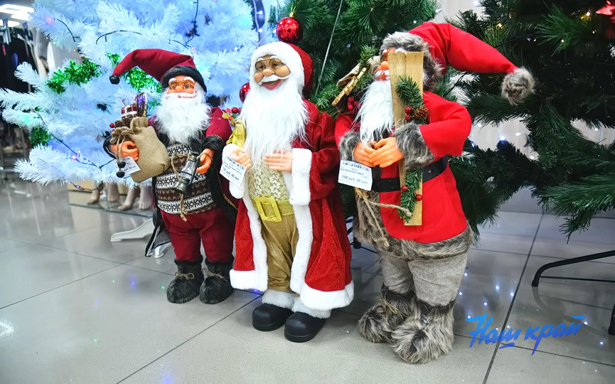 novyj-god-2026-(11).JPG