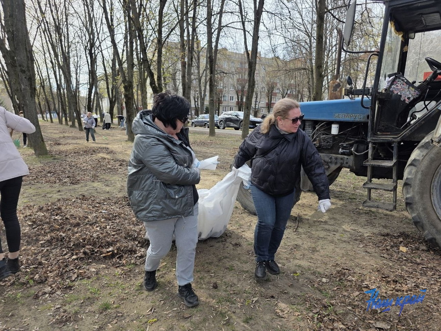 photo_2026-04-15_17-05-42.jpg photo_2026-04-15_17-05-42.jpg