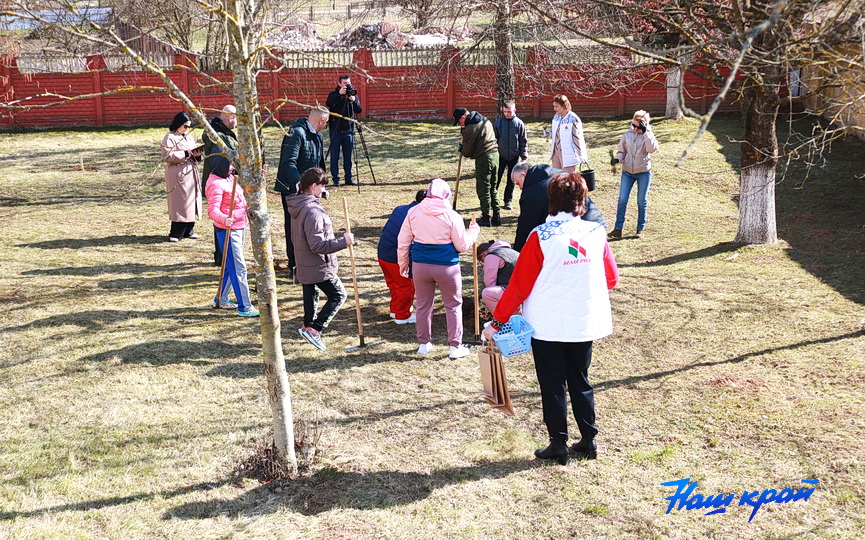 posadka-derevjev-13.JPG