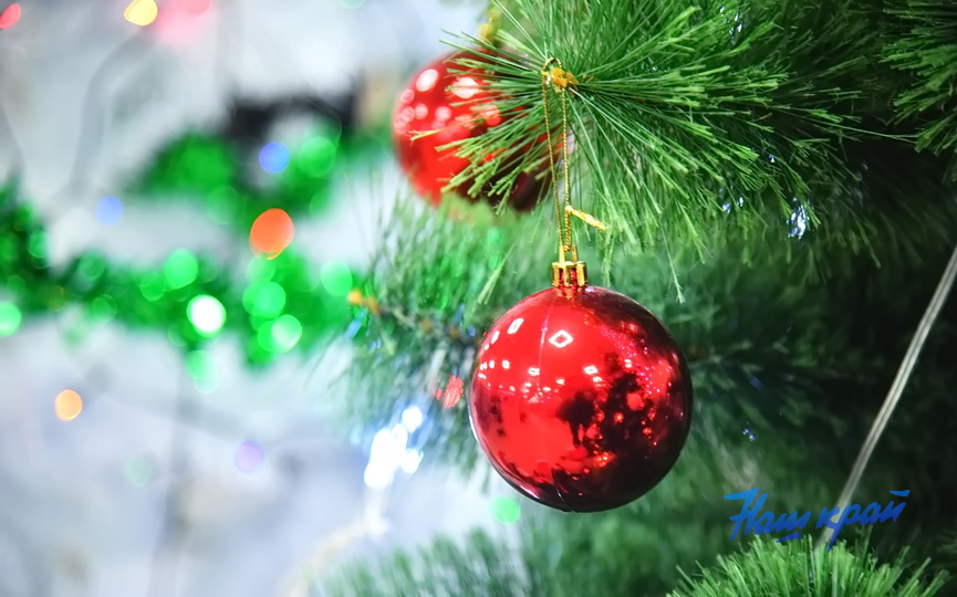novyj-god-2026-(12).JPG