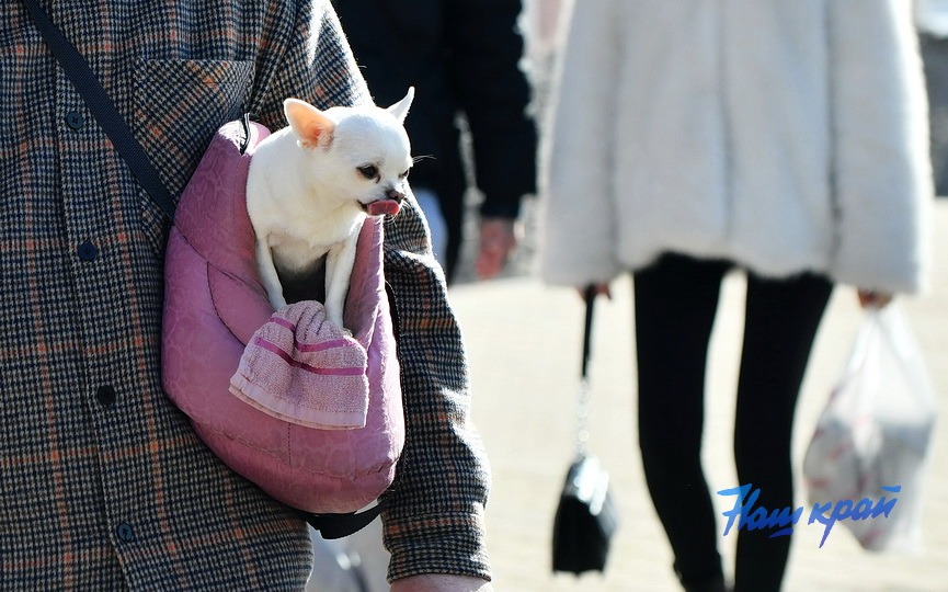 pogoda-9-marta (7).JPG