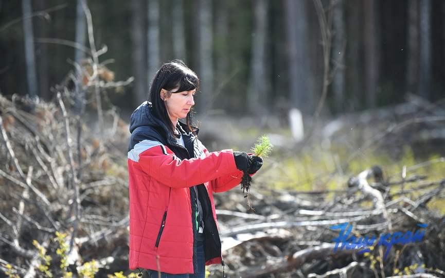 subbotnik-_3748 (8).JPG