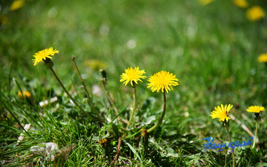 pogoda_1351 (33).JPG