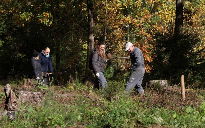 les-_03.jpg les-_03.jpg