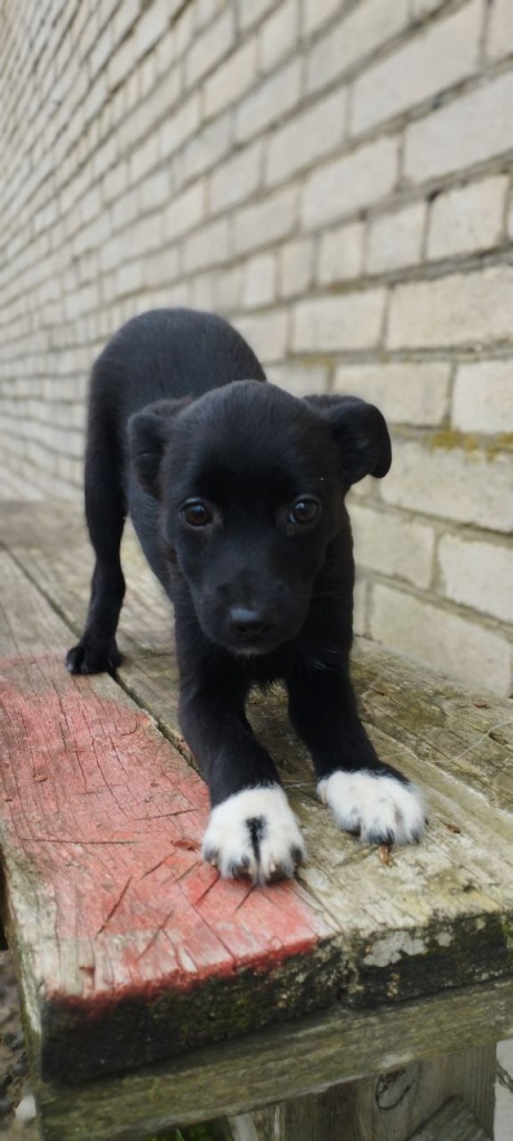 piksel.jpg piksel.jpg