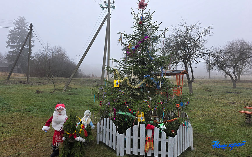 20251219_145635.jpg 20251219_145635.jpg