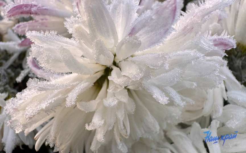 photo_zamorozki-2_1.jpg photo_zamorozki-2_1.jpg