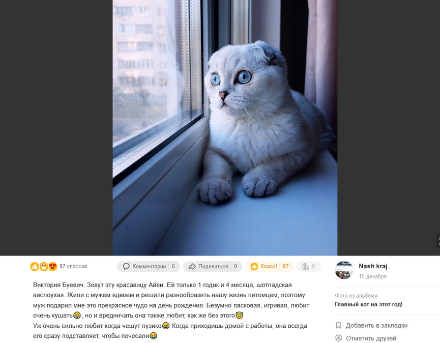 ajvi-viktoriya.JPG