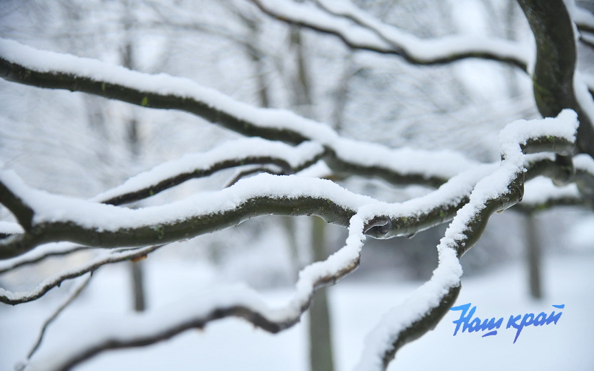 pogoda-2-fevral_09.JPG