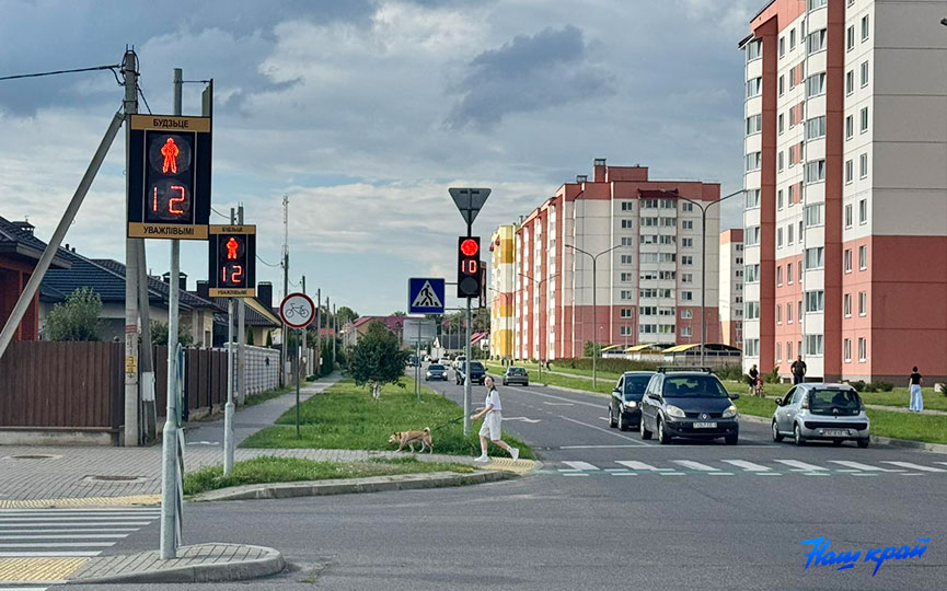 svetofor-voloshina-(4).jpg