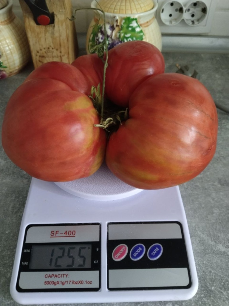 2026-08-18_15-47-04.jpg