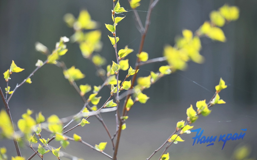 subbotnik-_3748 (17).JPG