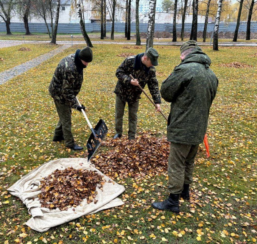 IMG_6546_новый размер.jpeg IMG_6546_новый размер.jpeg