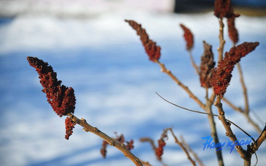 pogoda-mart- (4).JPG