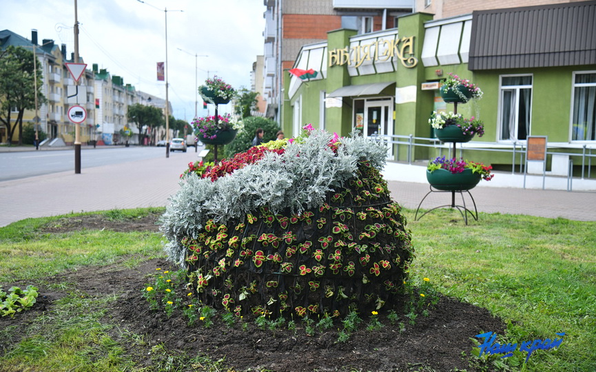 klumby-lenina-3.JPG