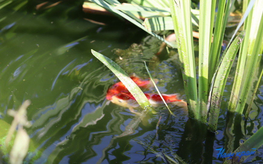 zoosad26_06.JPG