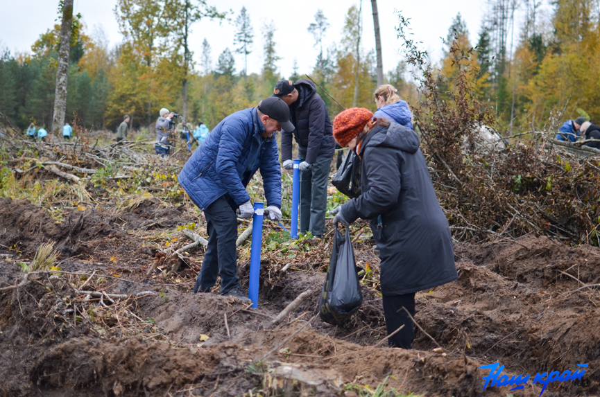 les-(24).jpg les-(24).jpg