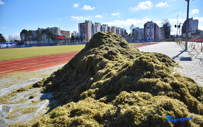stadion-22-03-2023 (8).JPG
