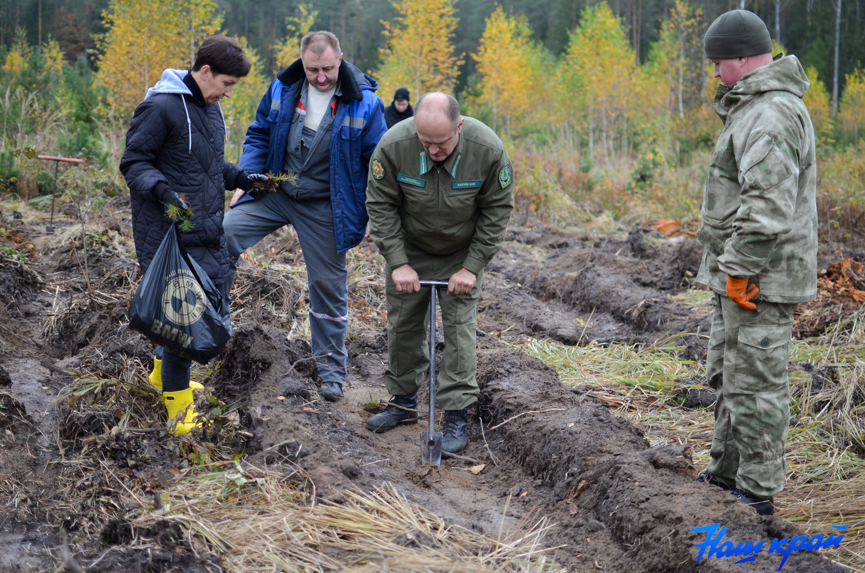 les-(10).jpg les-(10).jpg