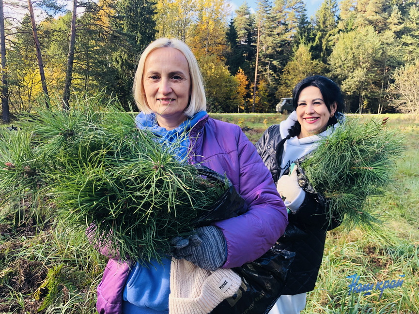 IMG_0941.jpg IMG_0941.jpg