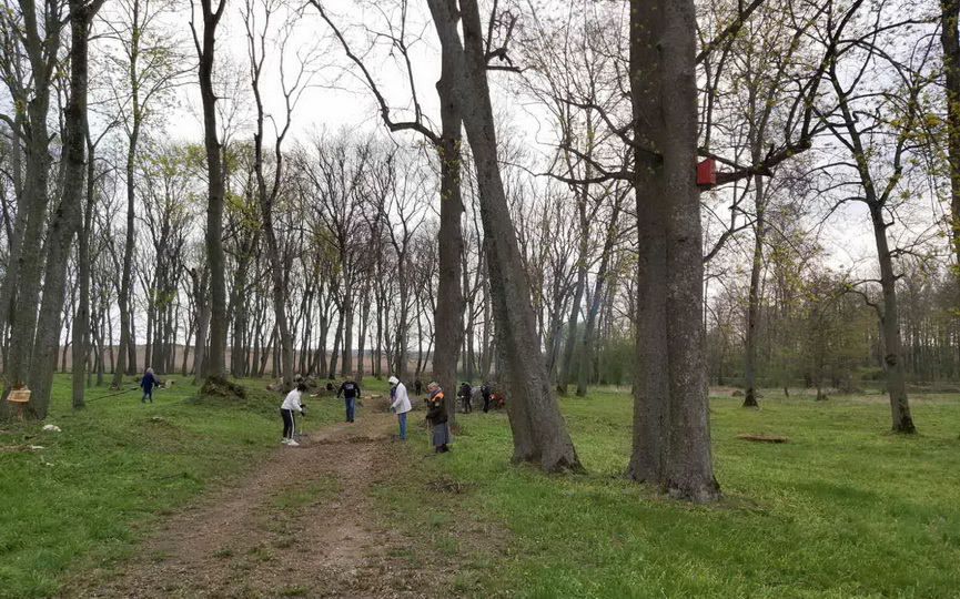 kroshinskij-park_3.jpg