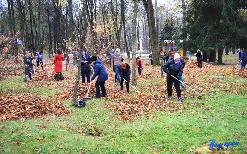 uborka-28-10-1_05.JPG