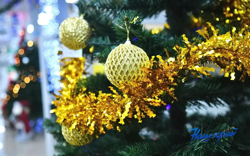 novyj-god-2026-(16).JPG