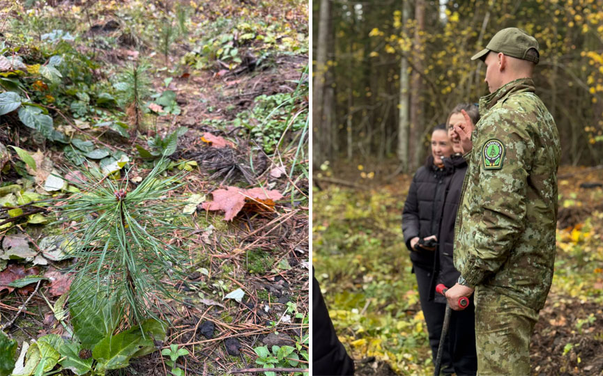 43-423.jpg 43-423.jpg