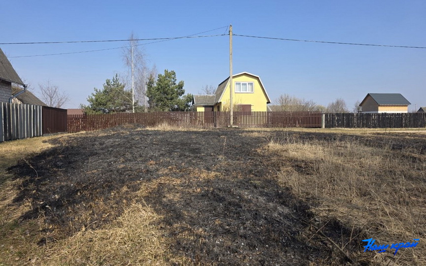 photo_2026-03-26_10-51-07 (6).jpg