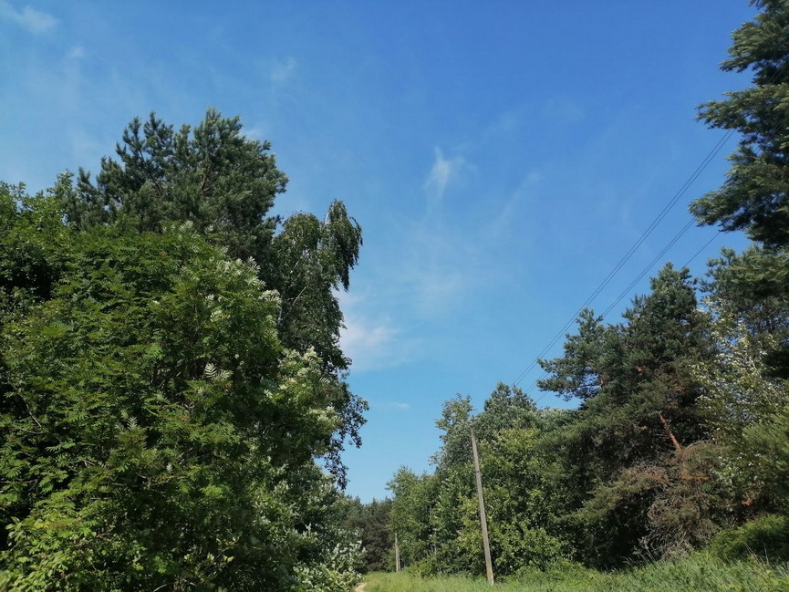 _2026-06-15_21-54-17).jpg