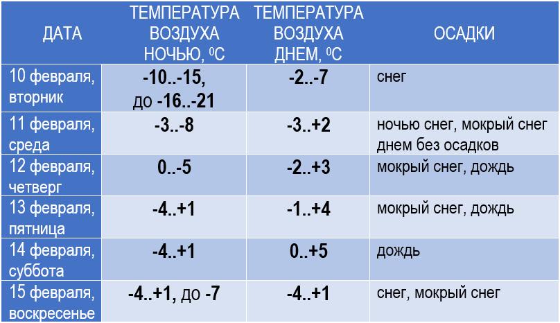 11111111111111111111112026-02-09_16-55-59-188.jpg 11111111111111111111112026-02-09_16-55-59-188.jpg