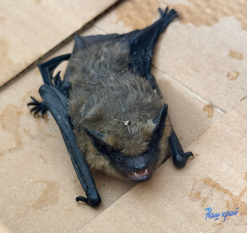 photo_2026-01-28_14-40-00 (3).jpg