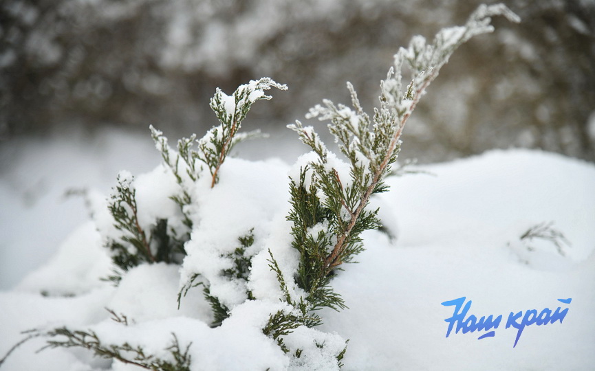 pogoda-yanvar-zima14 (3).JPG