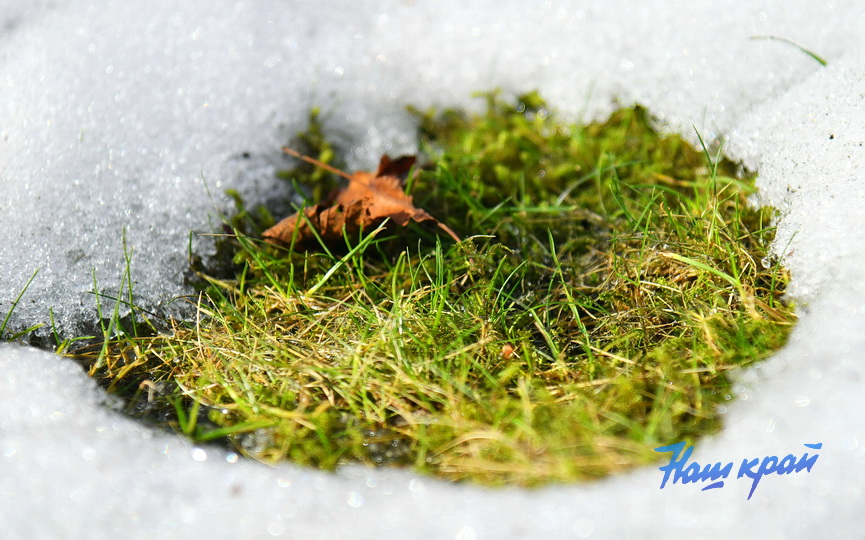 pogoda-mart- (37).JPG