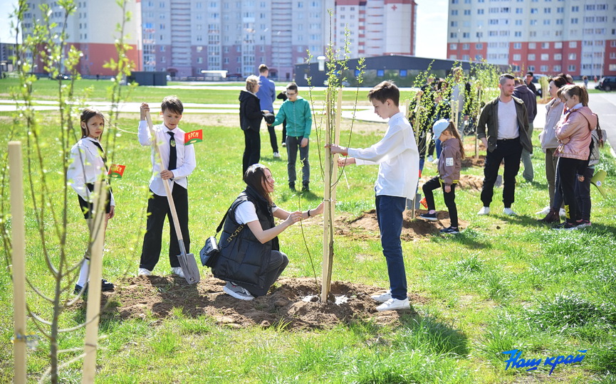 park-semejnyh-derevjev-4.JPG