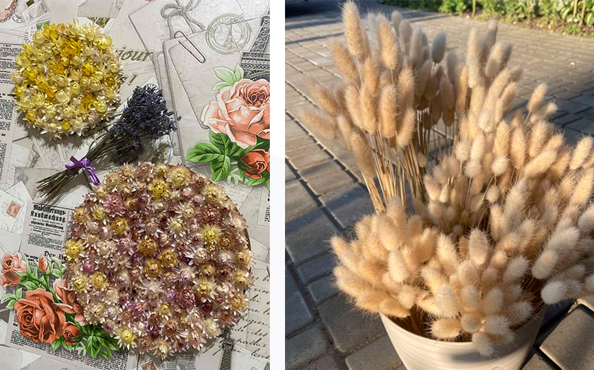 4photo_2025-10-21_14-42-38.jpg 4photo_2025-10-21_14-42-38.jpg