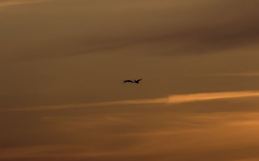 photo_2026-03-10_21-17-00 (2).jpg