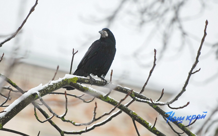 zima-28-01_0023 (12).JPG