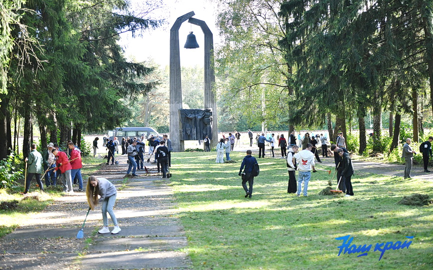 mesyachnik-uborka- (20).JPG