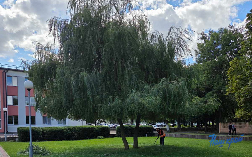 ivy--(7).jpg ivy--(7).jpg